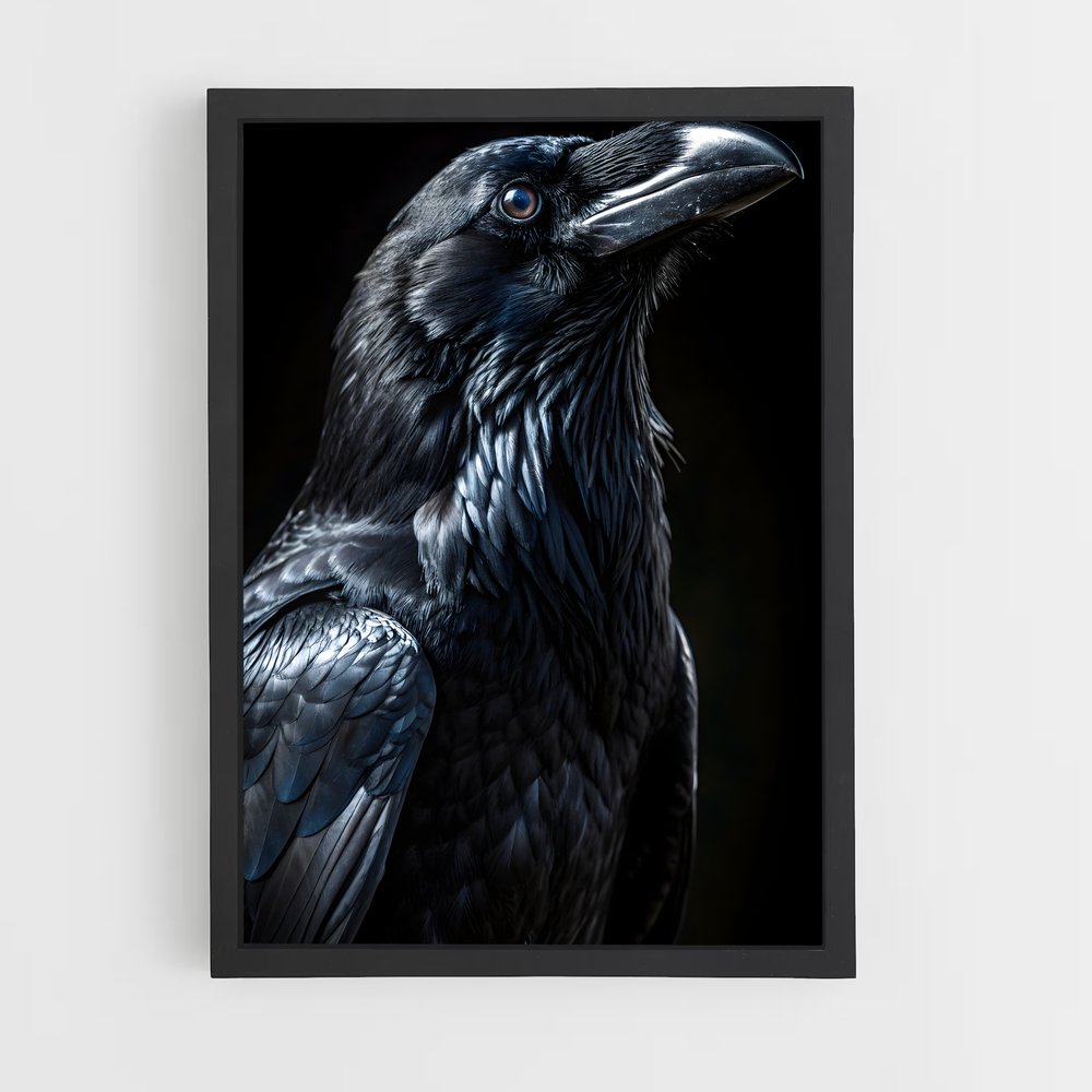ap-raven-14 cadre Noir