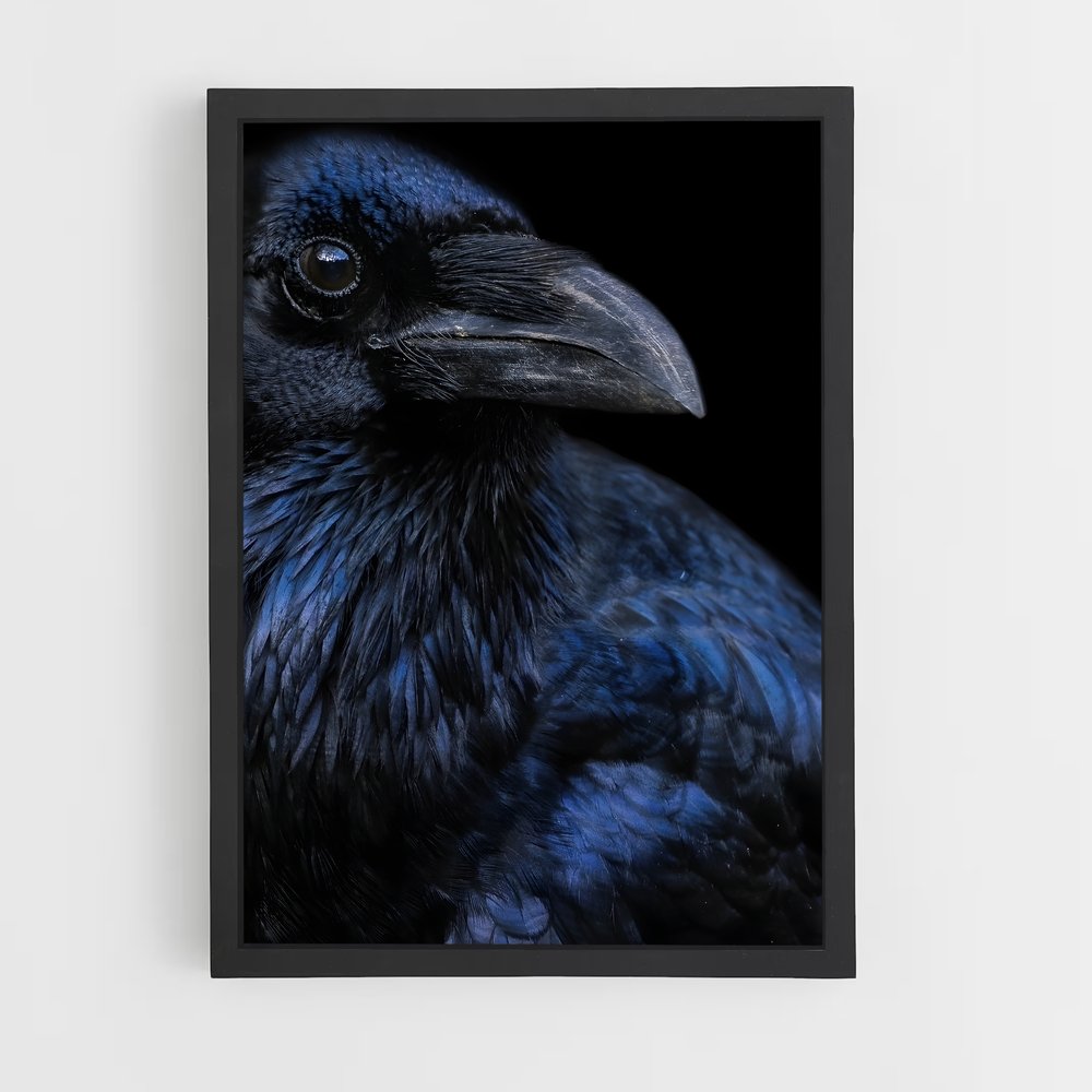 ap-raven-15 cadre Noir