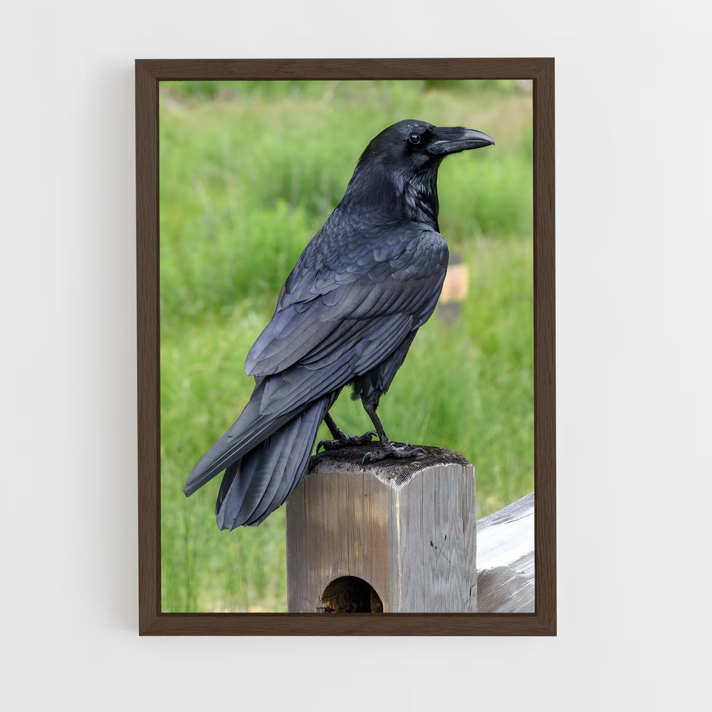 ap-raven-8 cadre Bois foncé