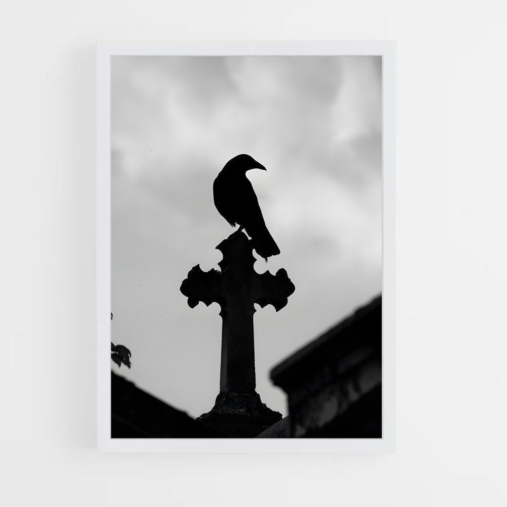 ap-raven-9 cadre Blanc