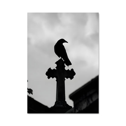 Poster Raven 84226
