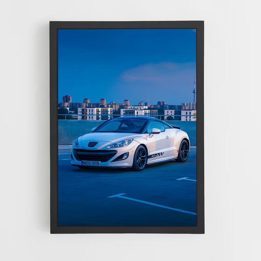 ap-rcz-2 cadre Noir