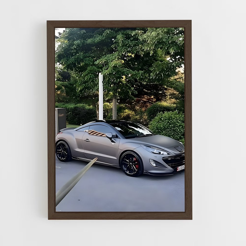 ap-rcz-4 cadre Bois foncé