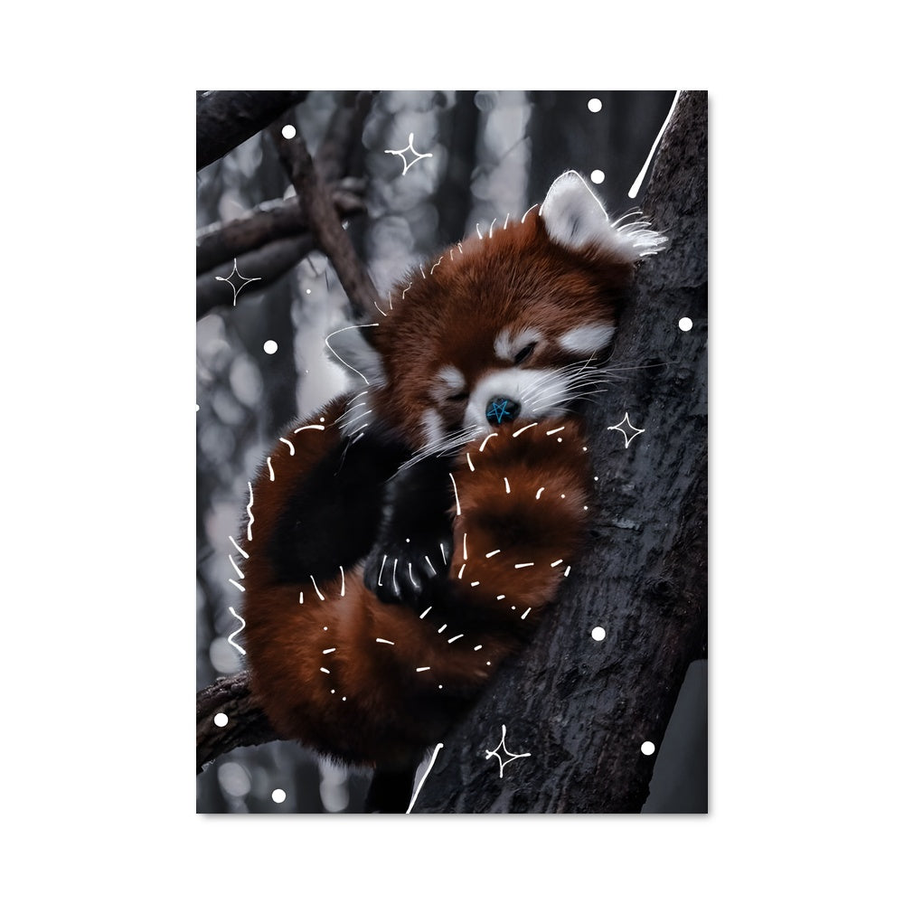 Poster Red panda 84248