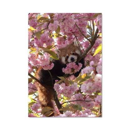 Poster Panda Enchanté