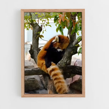 ap-red panda-7 cadre Bois clair