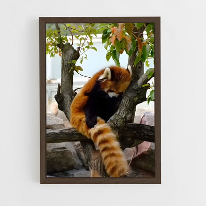 ap-red panda-7 cadre Bois foncé
