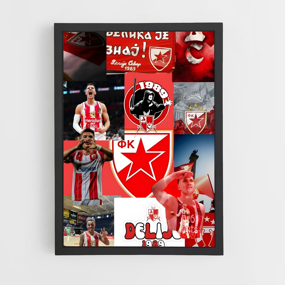 ap-red star belgrade basketball-6 cadre Noir