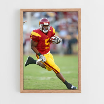 ap-reggie bush-4 cadre Bois clair