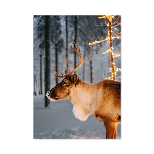 Poster Renne Magique