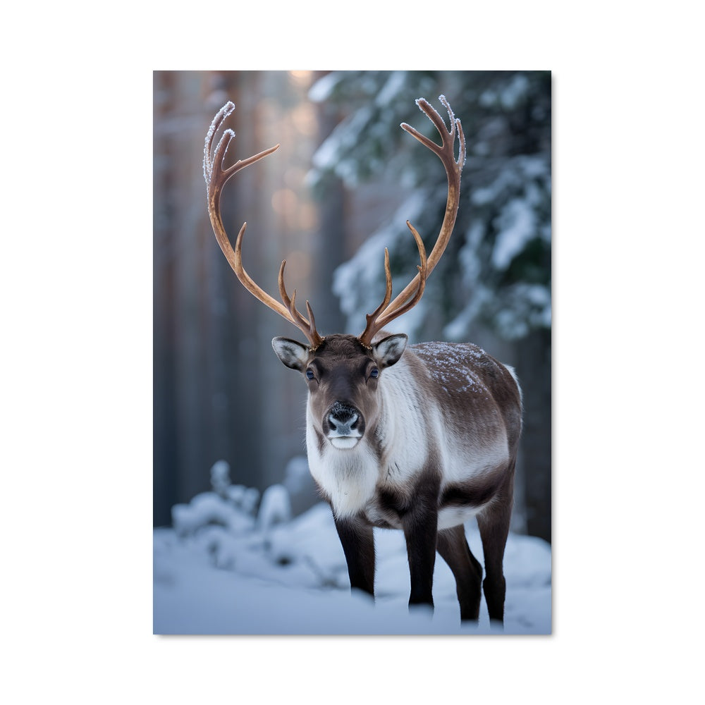 Poster Reindeer 84259