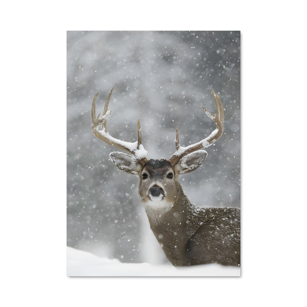Poster Le Cerf des Neiges