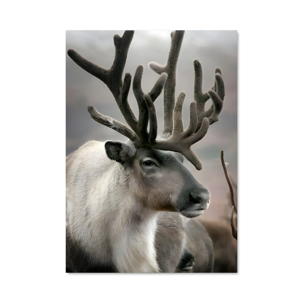 Poster Renne Antantique