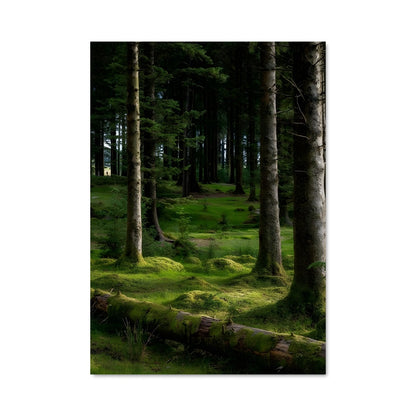 Poster Forêt Enchantée