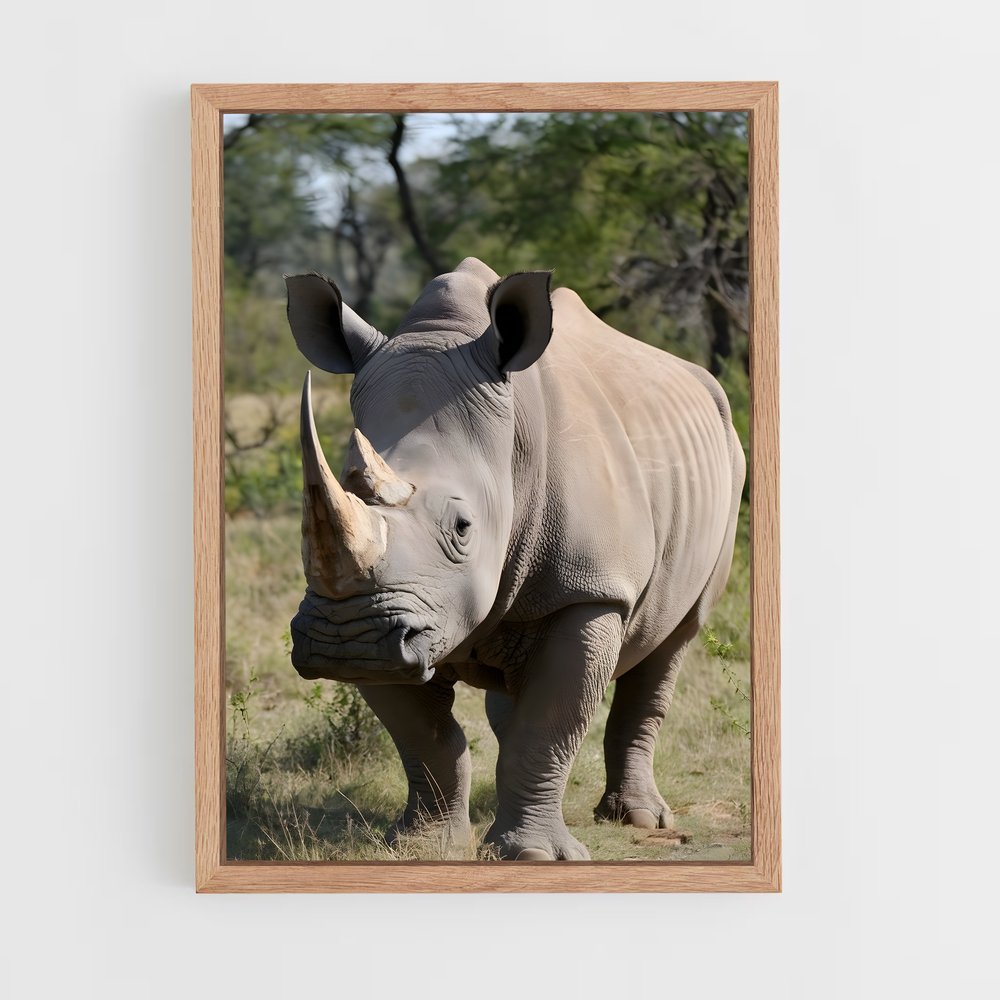 ap-rhinoceros-1 cadre Bois clair
