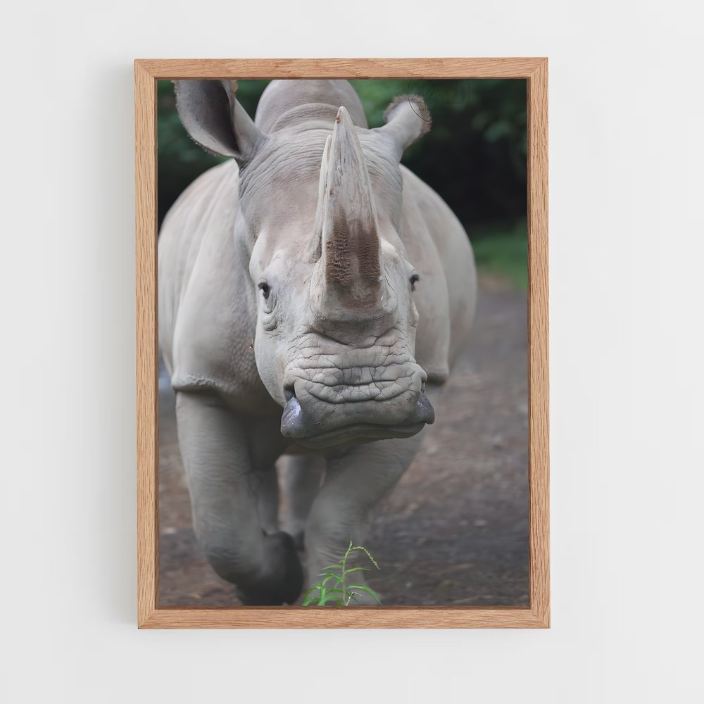 ap-rhinoceros-3 cadre Bois clair
