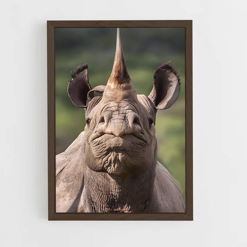 ap-rhinoceros-4 cadre Bois foncé