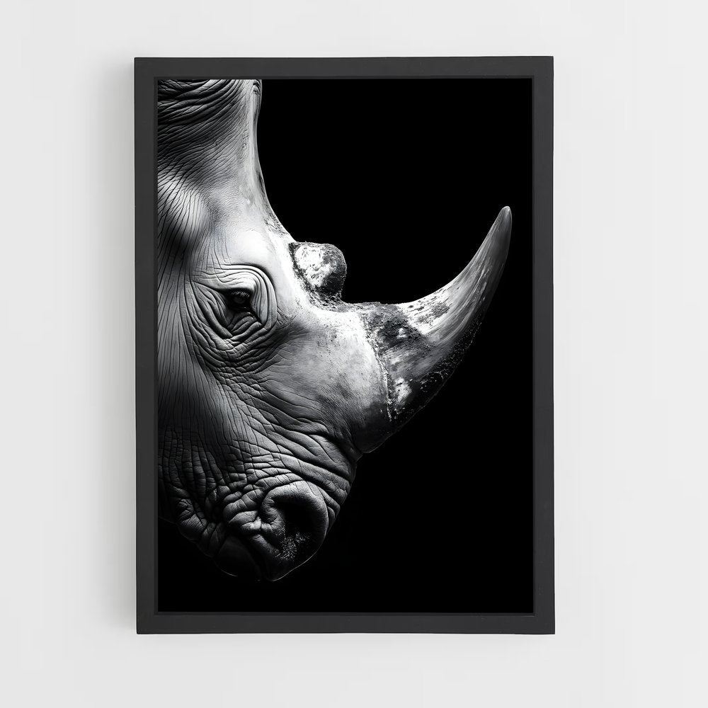 ap-rhinoceros-5 cadre Noir