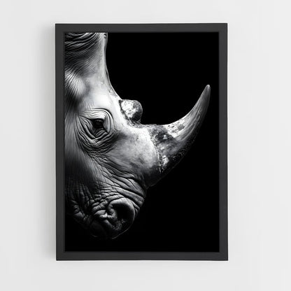 ap-rhinoceros-5 cadre Noir