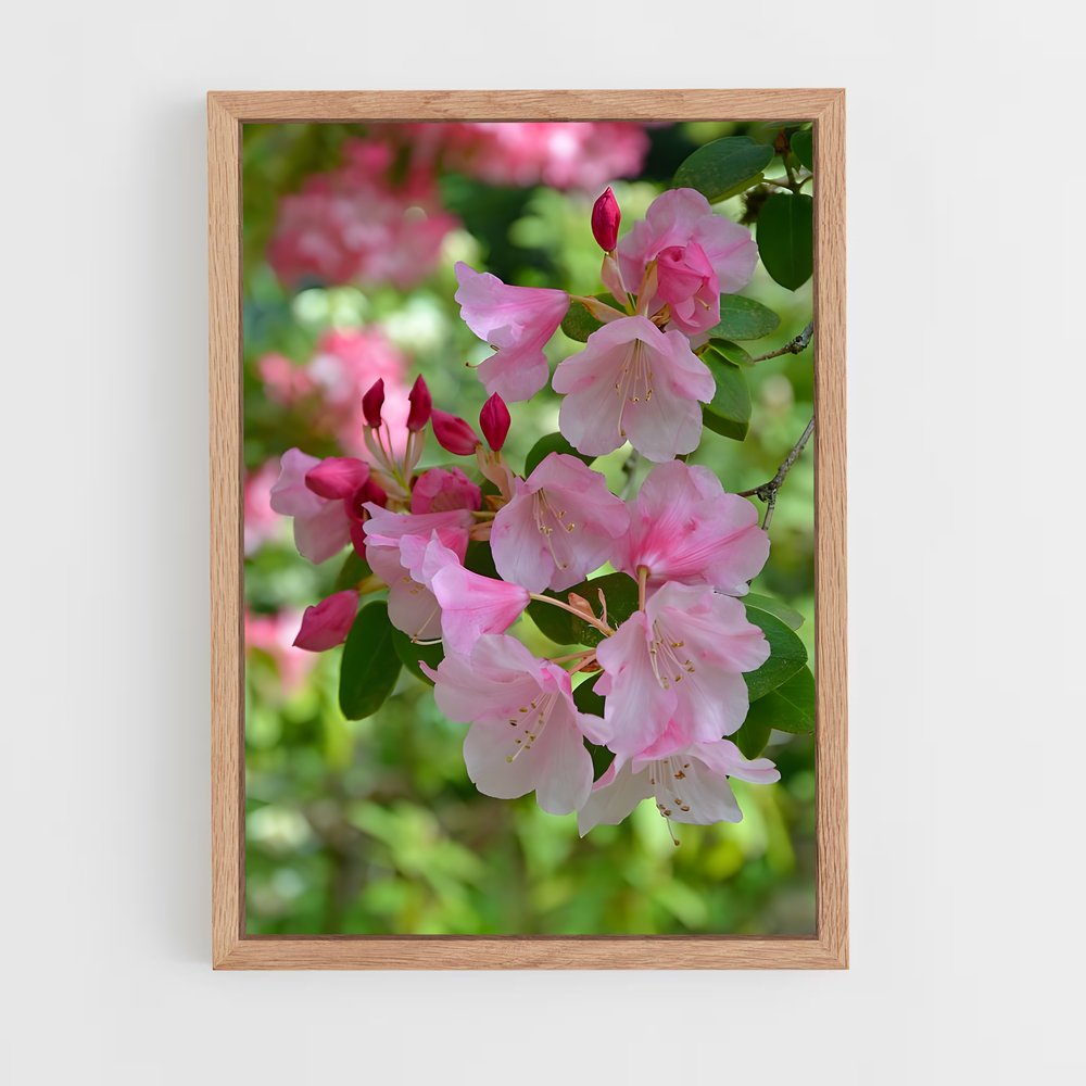 ap-rhododendron-4 cadre Bois clair