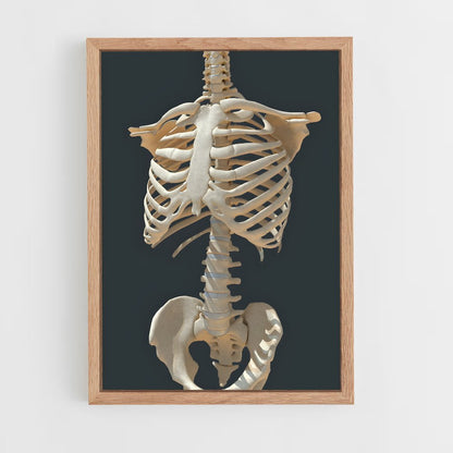 ap-rib-1 cadre Bois clair