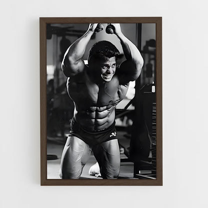 ap-rich gaspari-1 cadre Bois foncé