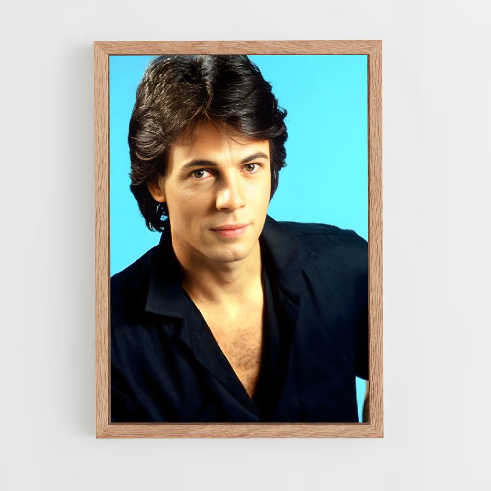 ap-rick springfield-6 cadre Bois clair