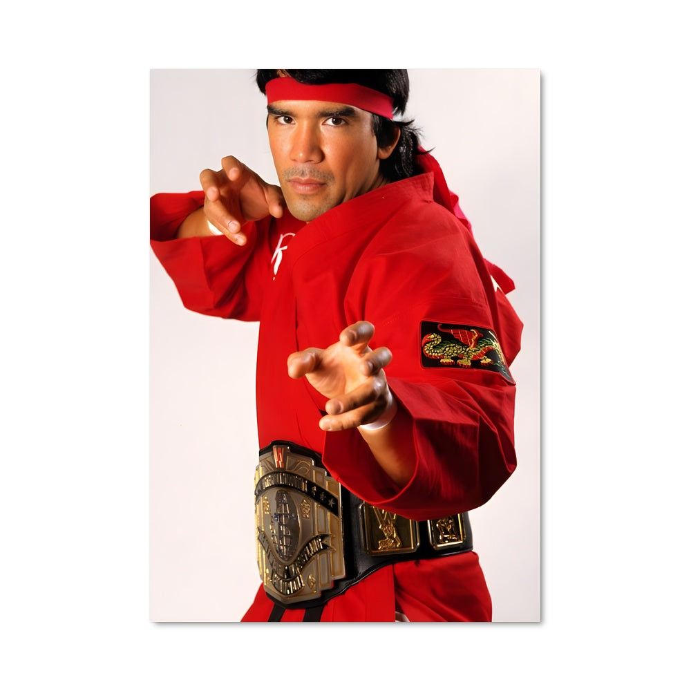 Poster Ricky steamboat 61541