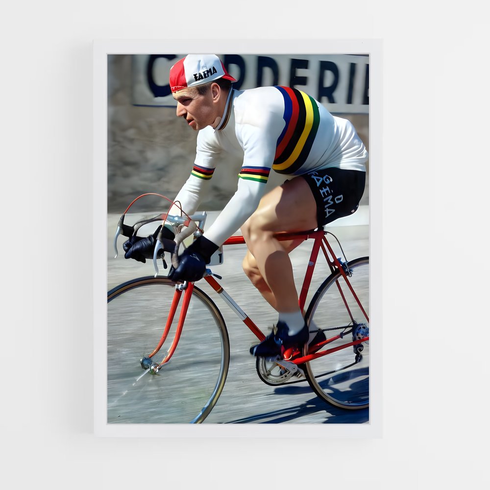 ap-rik van looy-1 cadre Blanc