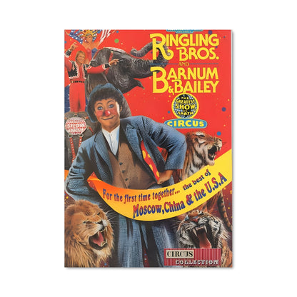 Poster Le Cirque Éblouissant