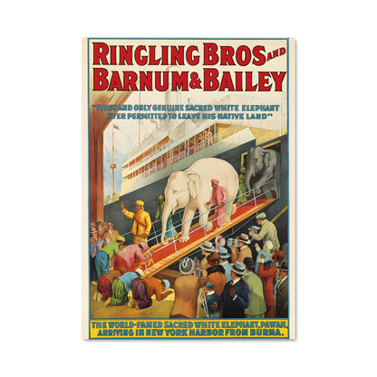 Poster Ringling brothers 67050