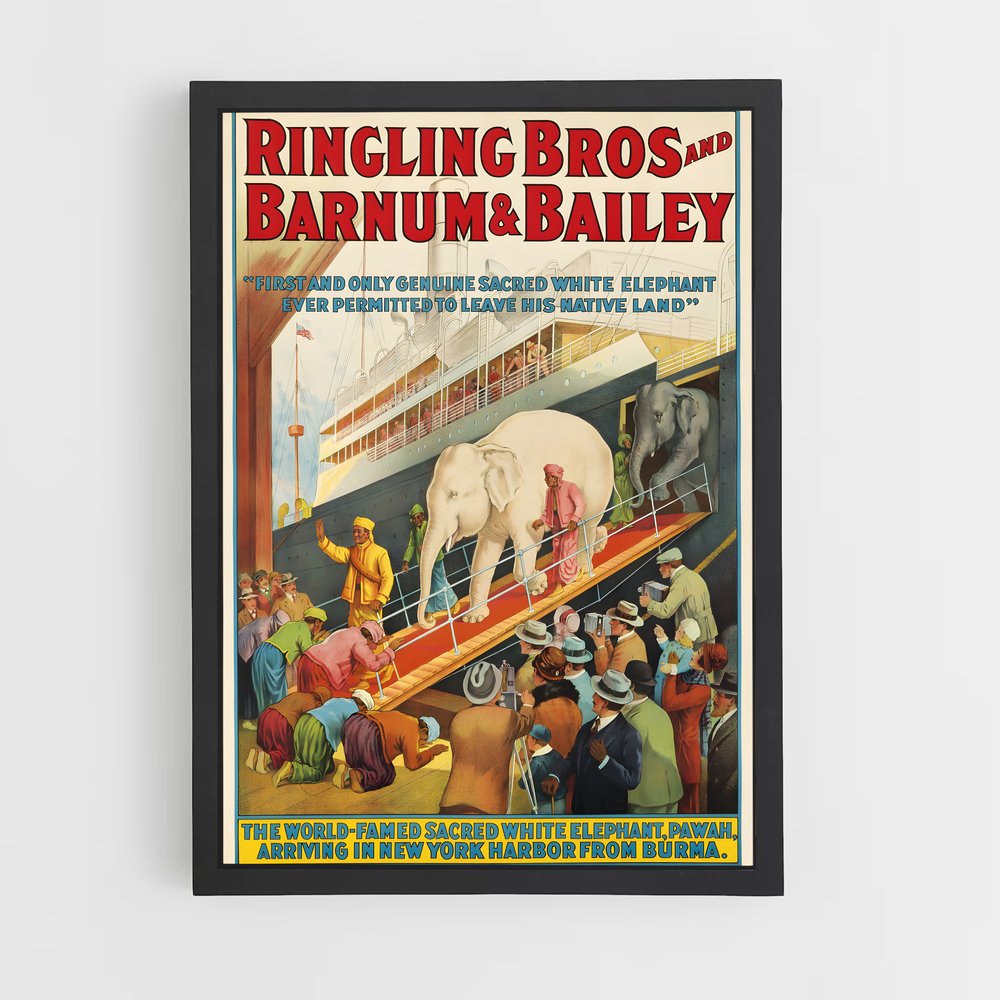 ap-ringling brothers-4 cadre Noir