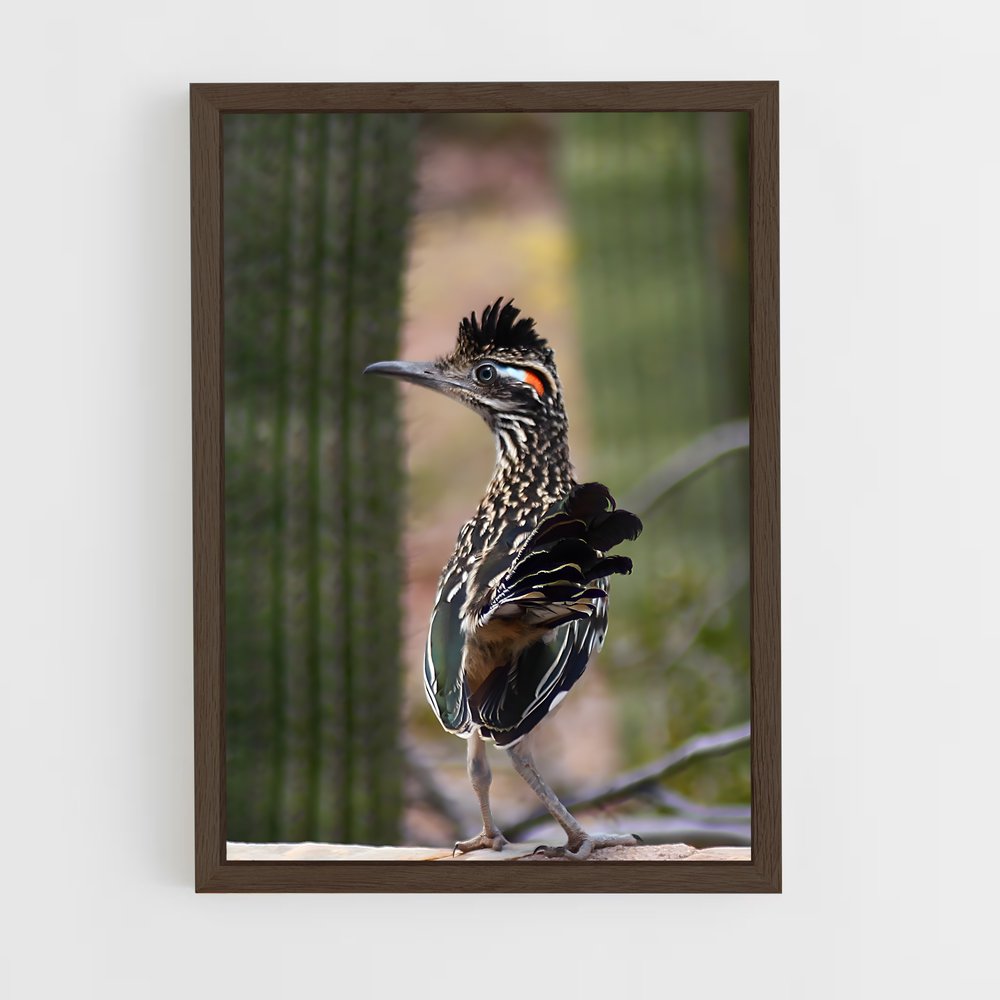 ap-roadrunner-2 cadre Bois foncé