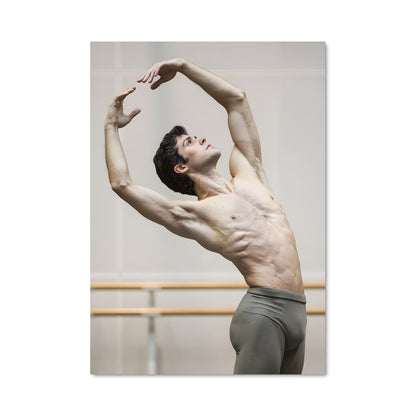 Poster Roberto bolle 65655