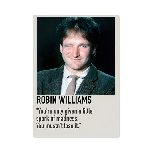 Poster Robin williams 9502