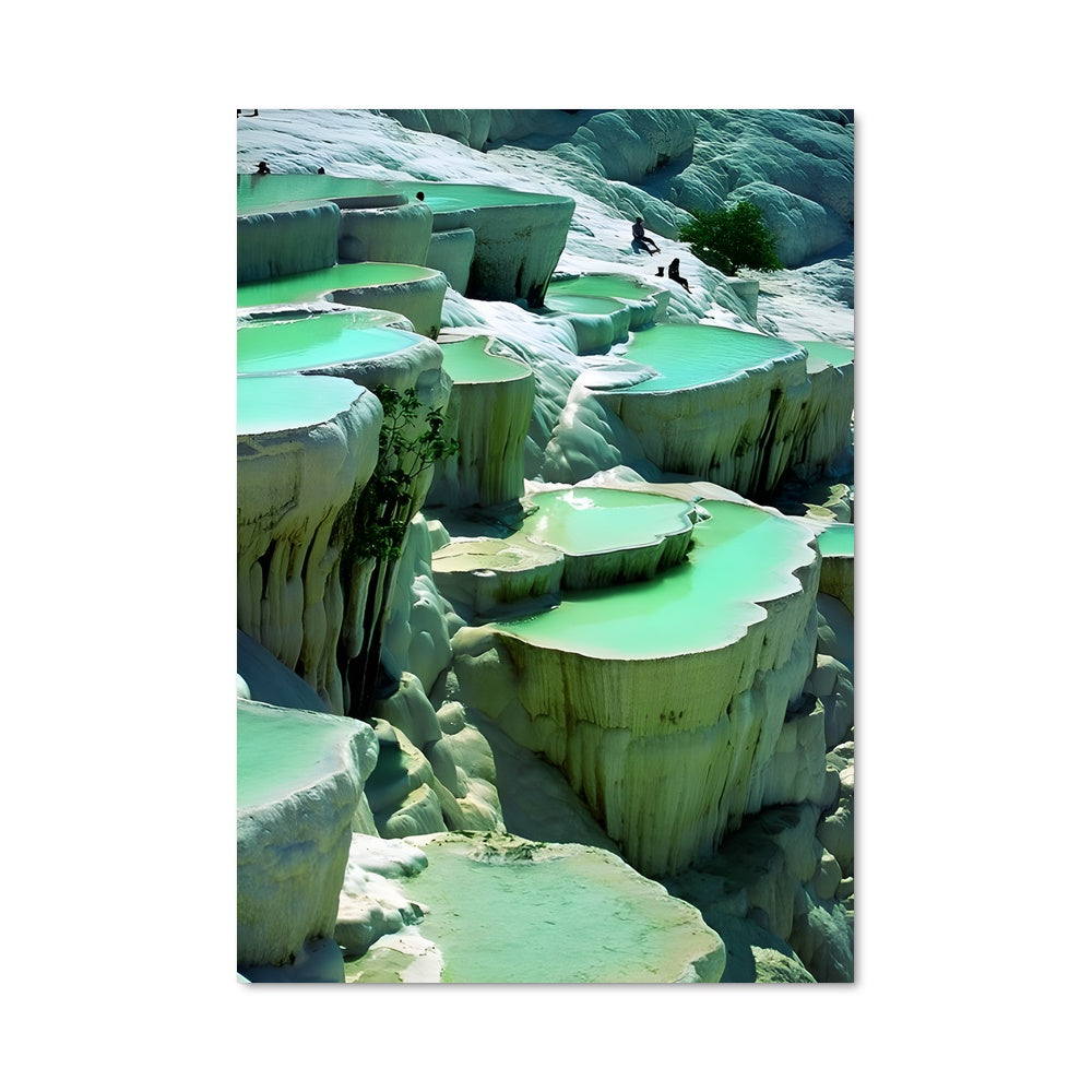 Poster Les Nénuphars de Pamos