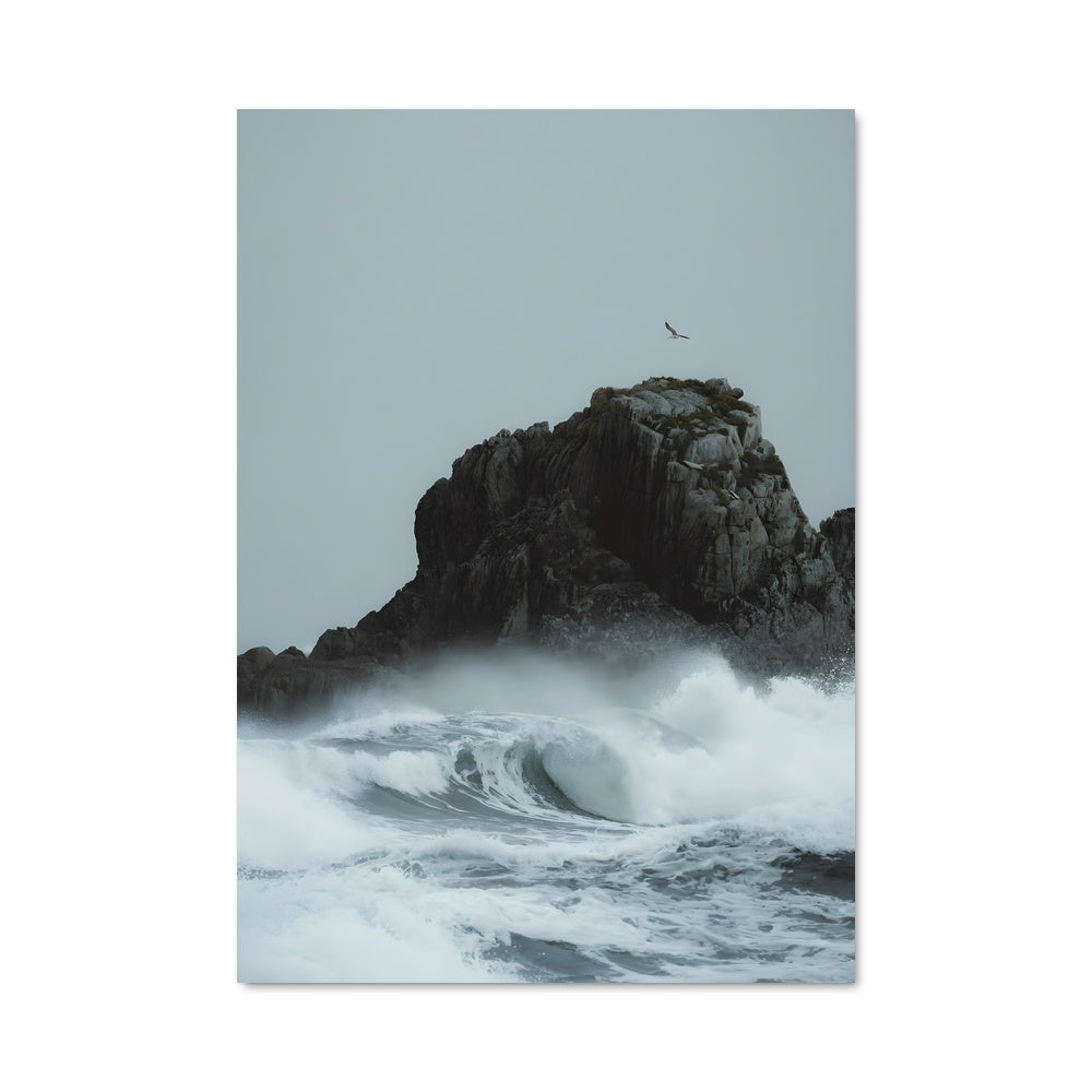 Poster Oiseau des Vagues