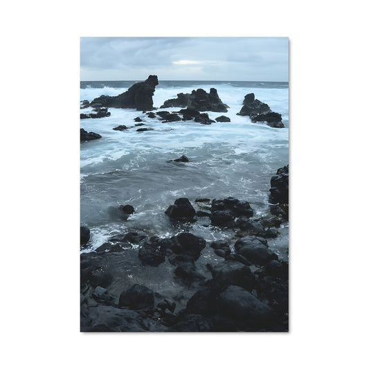 Poster Océan Sauvage