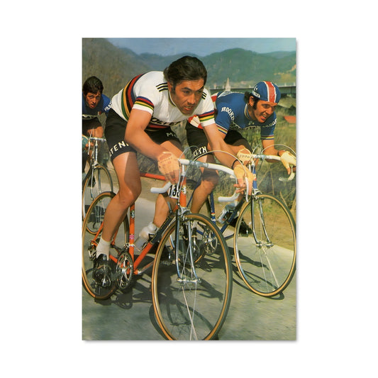 Poster Roger de vlaeminck 65411
