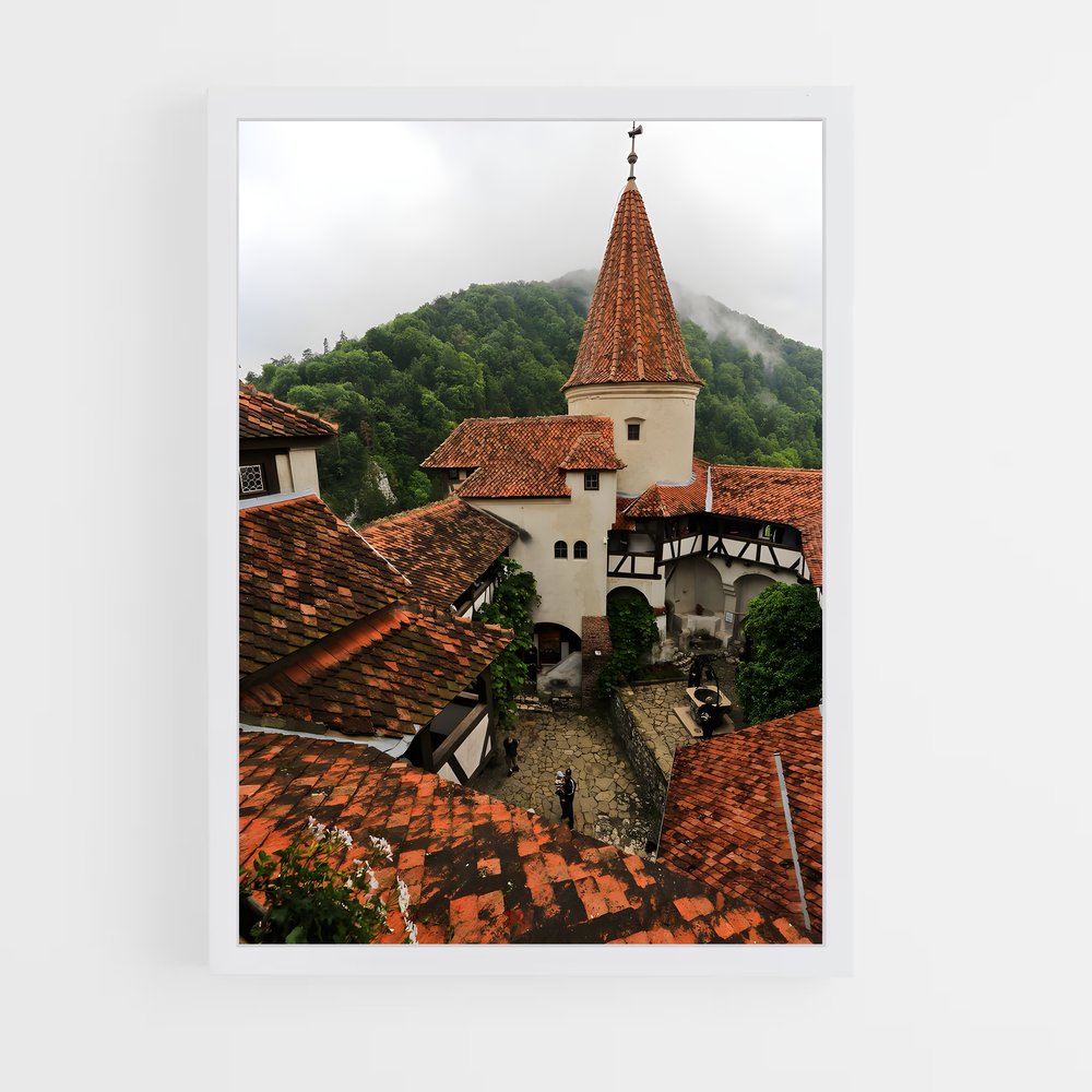 ap-romania-10 cadre Blanc