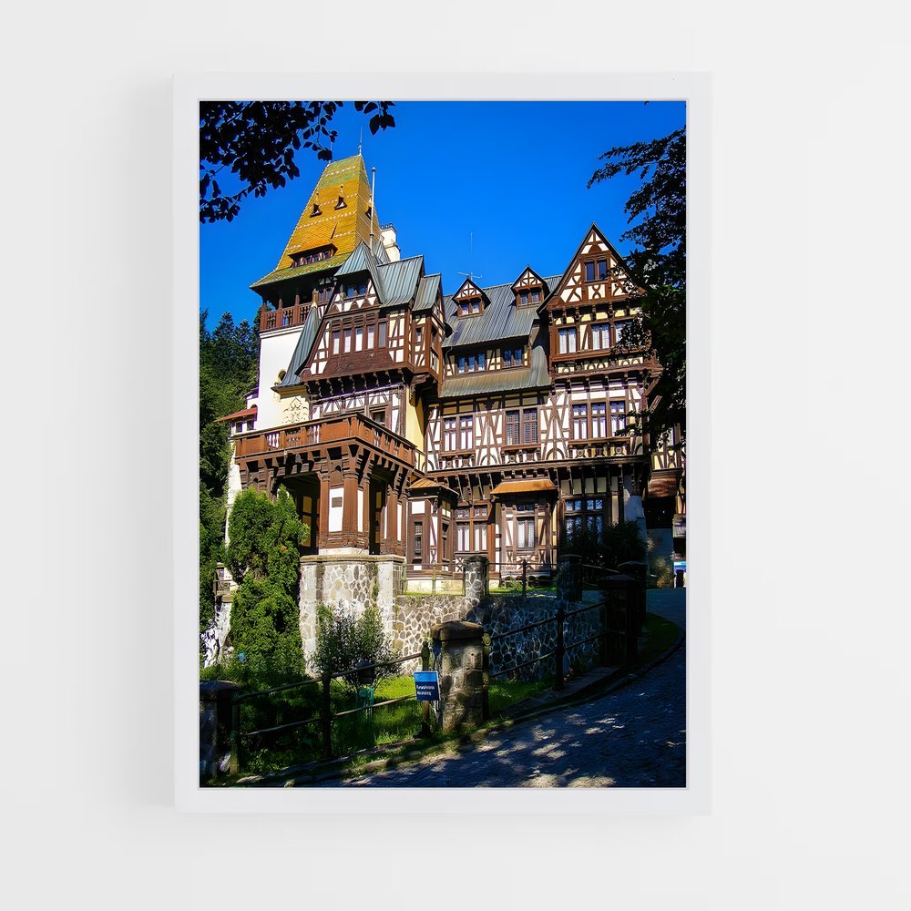 ap-romania-8 cadre Blanc