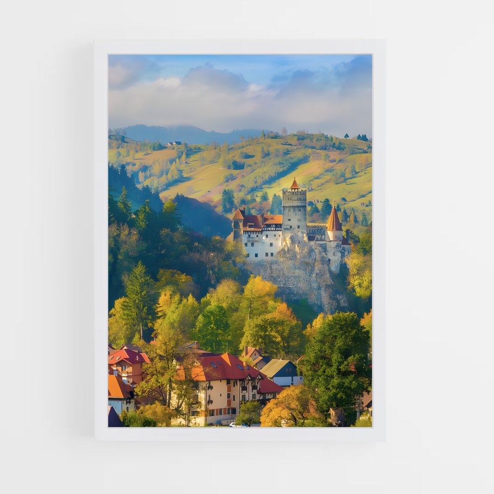 ap-romania-9 cadre Blanc