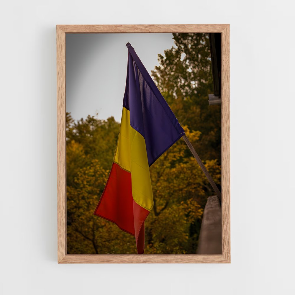 ap-romania flag-1 cadre Bois clair