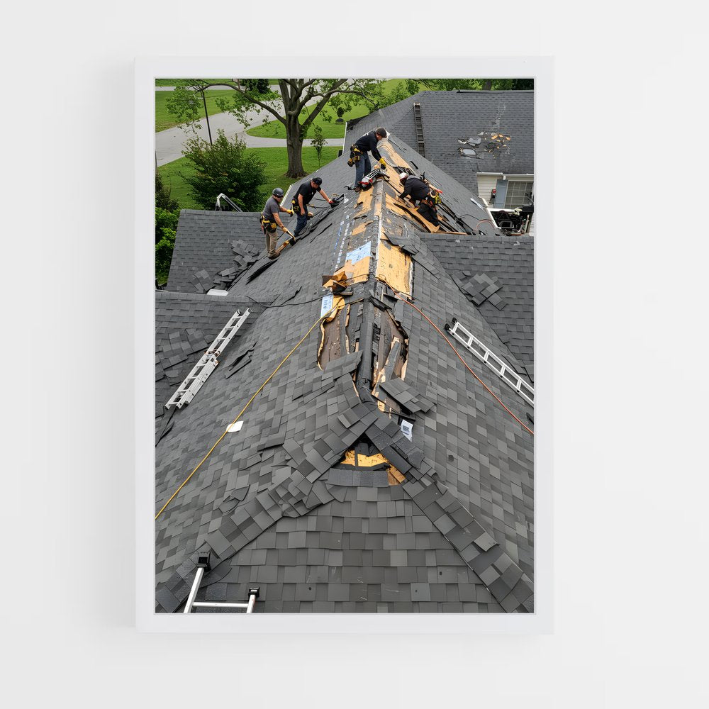 ap-roofer-1 cadre Blanc