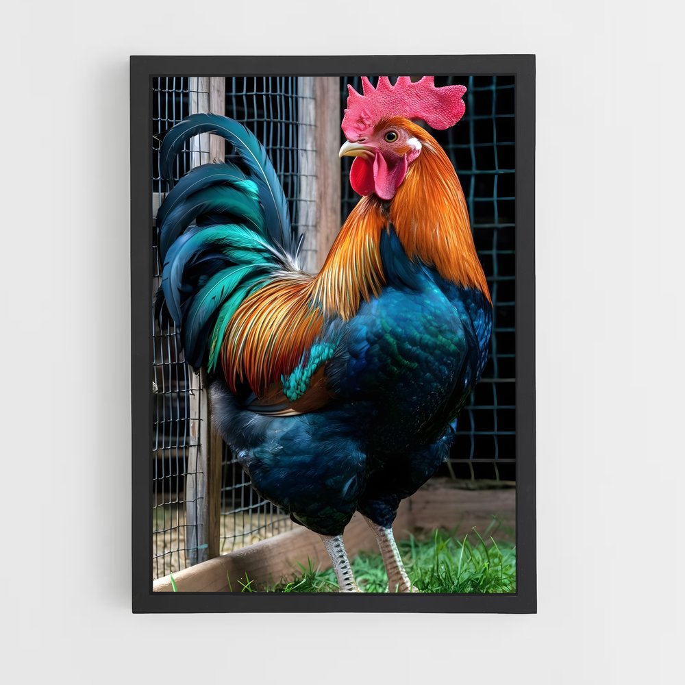 ap-rooster-1 cadre Noir