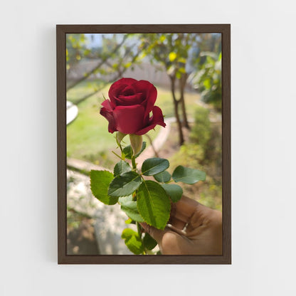 ap-rose-13 cadre Bois foncé
