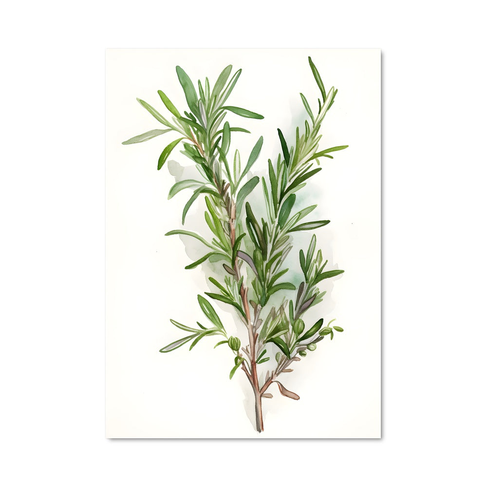 Poster L'Olive Enchantée