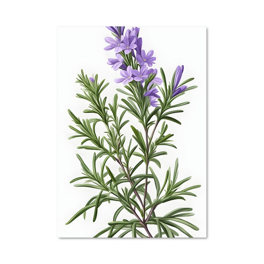 Poster Fleur de Lavender