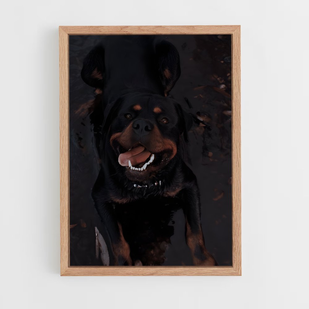 ap-rottweiler-6 cadre Bois clair