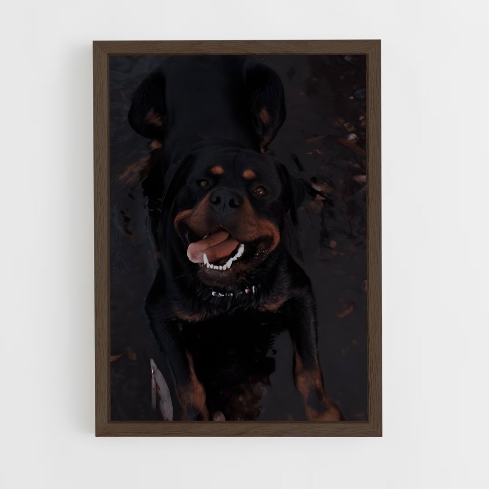 ap-rottweiler-6 cadre Bois foncé
